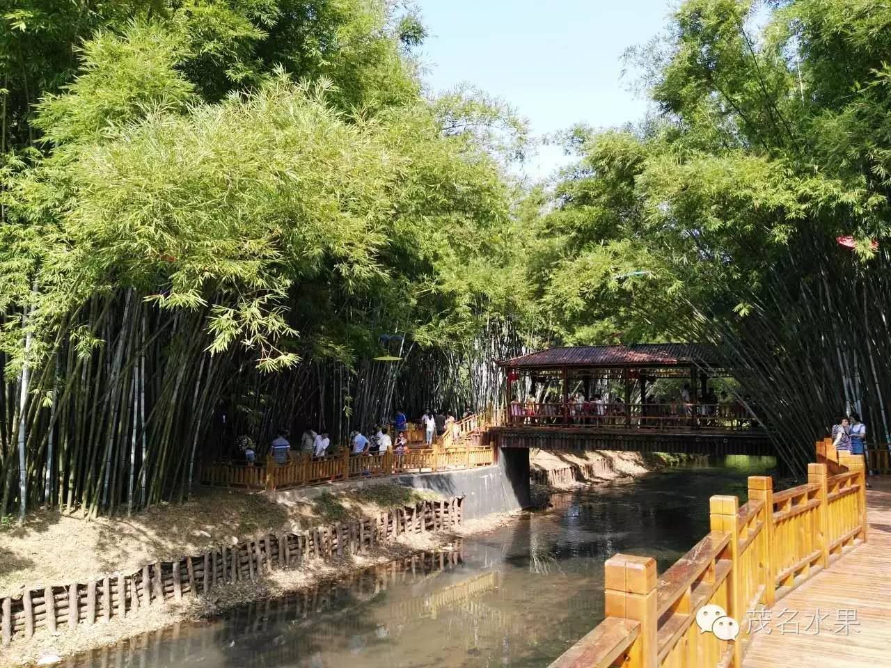 秋天如约而至,秋天如期到来