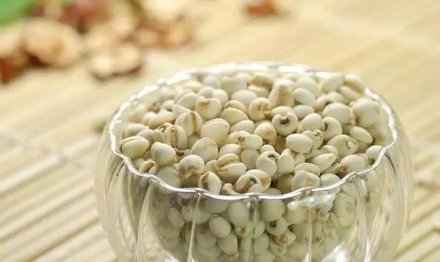 如此强大的薏米，之前是我无知了