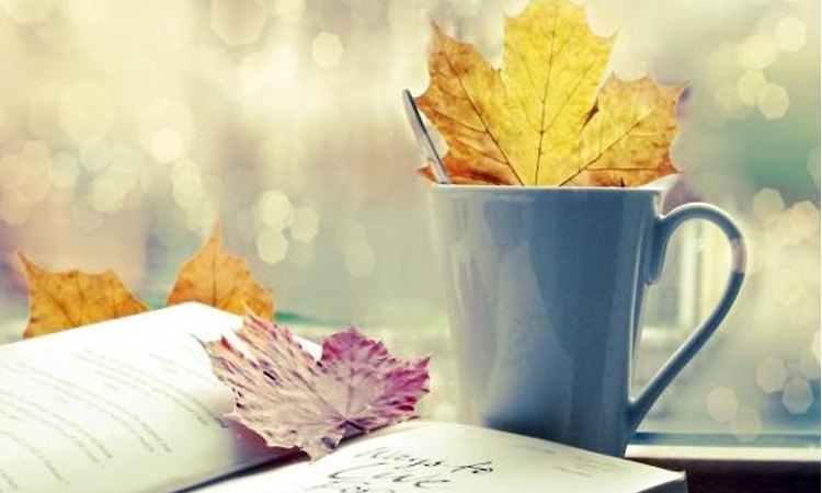 电影台词经典语录你的名字,电影台词正能量语录