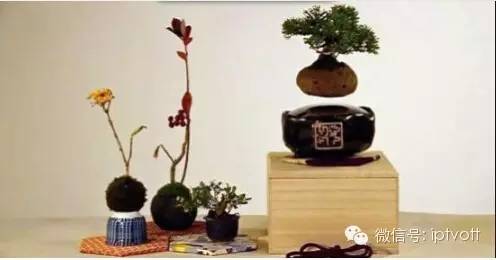 流媒体行业,流媒体网运营