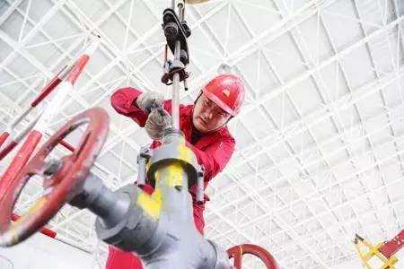 油红人|那个“不懂油的月半子”