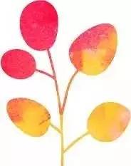 一不谨慎就成了世界最大，园区的这个巨无霸，还要给你这么多惊喜！