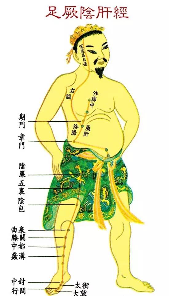 红墙健康行十二经络养生操完整版,经络养生调理活动