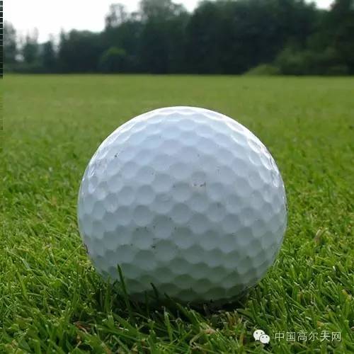 高尔夫初学者配什么装备,高尔夫初学者需要准备几支杆