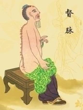 红墙健康行十二经络养生操完整版,经络养生调理活动