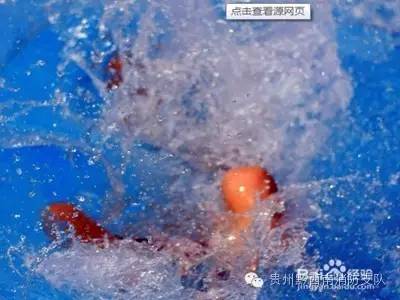 被蜜蜂马蜂蛰了一下该怎么处理,被马蜂蛰了怎么办最有效的方法