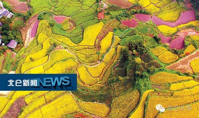 北仑最新交通管制,浙江省北仑市交通管制