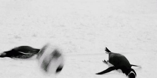 国足又输了咋办,国足又输了的说说