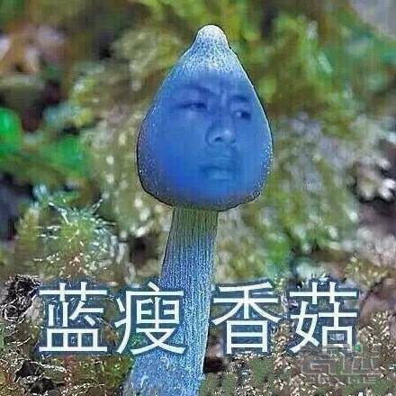 张靓颖跟冯轲分手后状态回升,张靓颖和冯轲现场视频