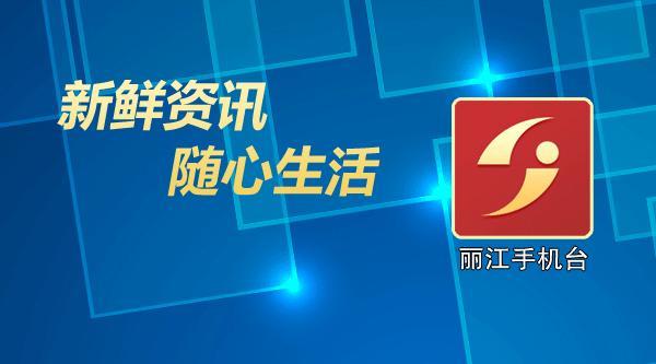 丽江飞虎夺冠,丽江飞虎冲甲视频