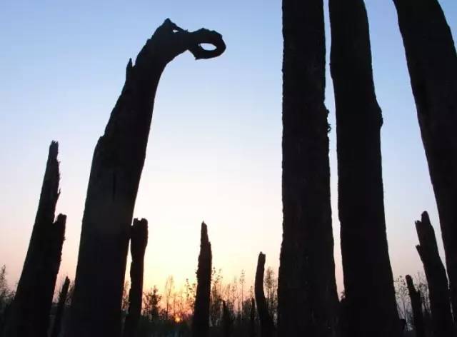 成都金沙遗址博物馆发布闭馆公告,金沙遗址博物馆周一闭馆吗