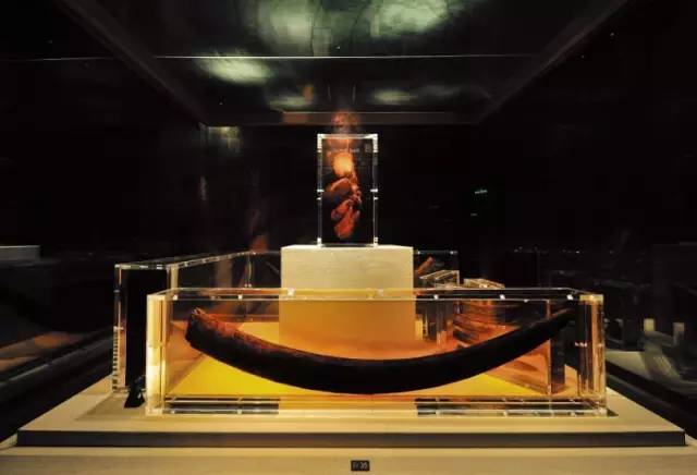 成都金沙遗址博物馆发布闭馆公告,金沙遗址博物馆周一闭馆吗