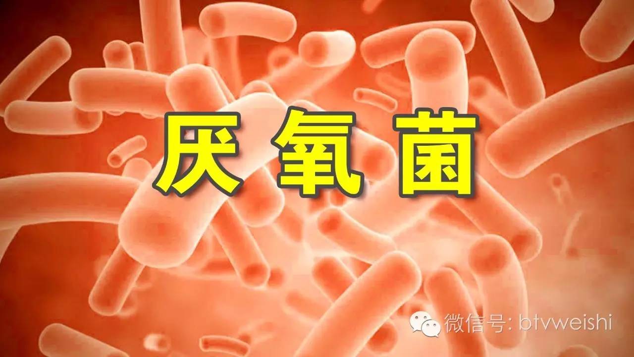 养生堂今日节目回放,养生堂今日现场直播回放