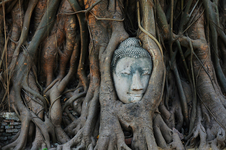 泰国国王去世是哪一年,泰国国王普密蓬去世