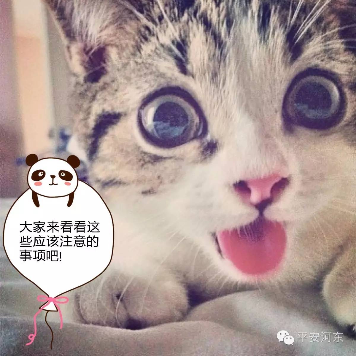 记住这十句话防被骗,发朋友圈预防被骗信息