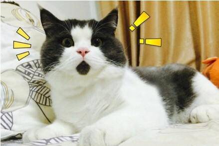 张靓颖跟冯轲分手后状态回升,张靓颖和冯轲现场视频