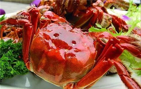 野火烧不尽死灰复燃,野火烧不尽野草