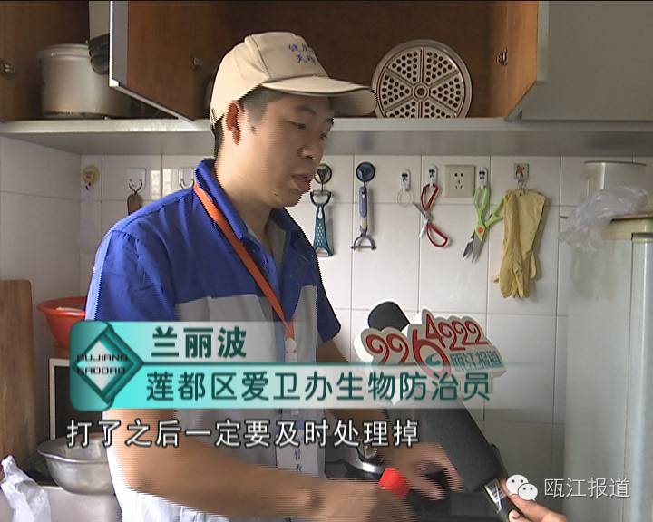 十大最有效的灭蟑方法不用蟑螂药,如何免费的灭蟑螂