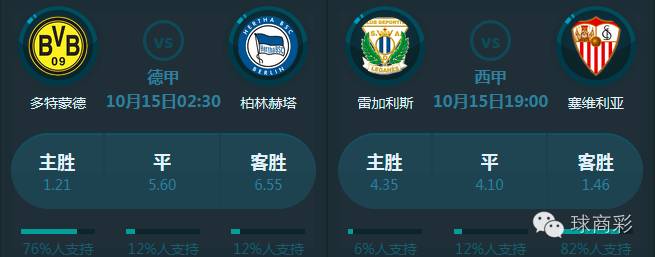 体彩竞猜和单场竞猜,中国体彩单场竞猜