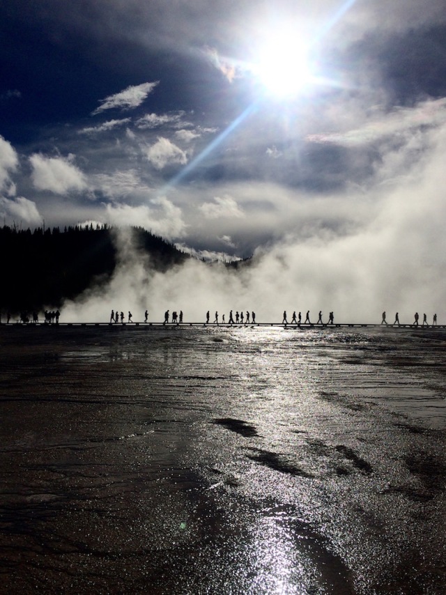 那些“不买会死”的好玩意儿