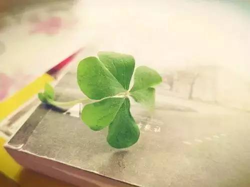 100句必背英语句子高考,高考3500个必背单词推荐