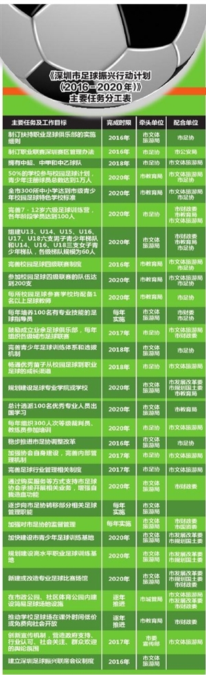 深圳新的中超球队,深圳市振兴足球计划