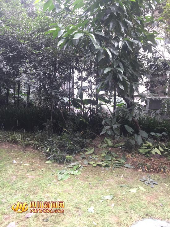 四川六旬老人从三十二楼坠亡,四川6旬老人坠楼身亡