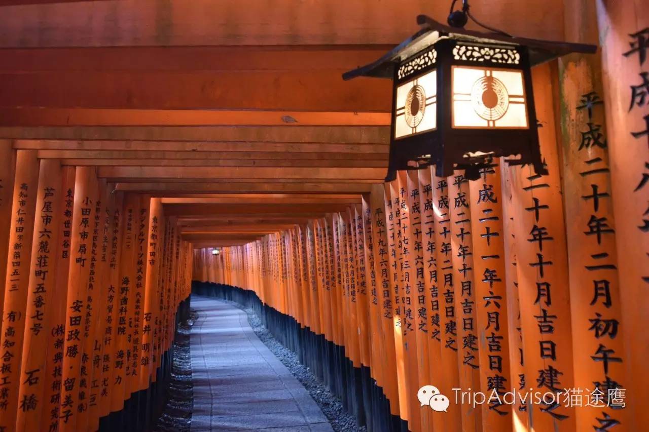 一次完美旅行需要掌握的几个要点,让旅行更完美的生活小妙招