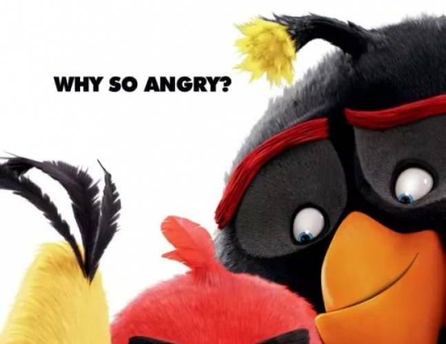 《愤怒的小鸟》新预告“胖红”屡发飙反击绿猪