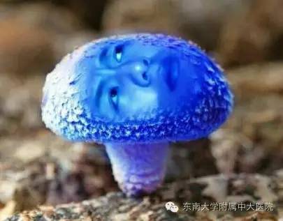 疼痛！蓝瘦！香菇！镇痛专家周六等你来！