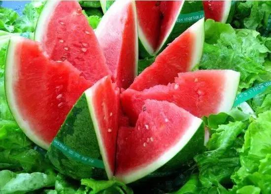 word哥经典剪辑,word哥wwe