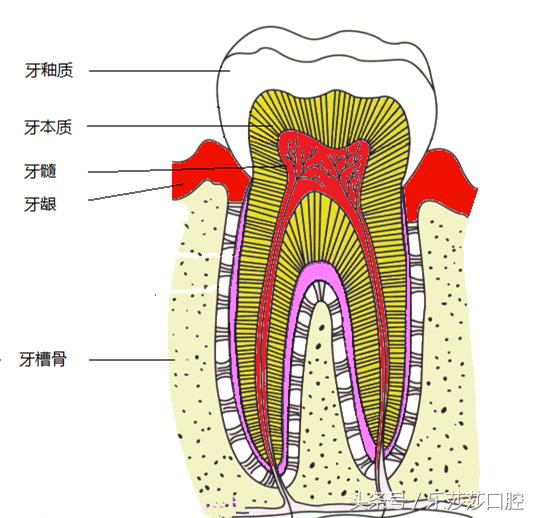 一根针扎进眼珠里会怎么样,一根针放进什么地方容易熔化