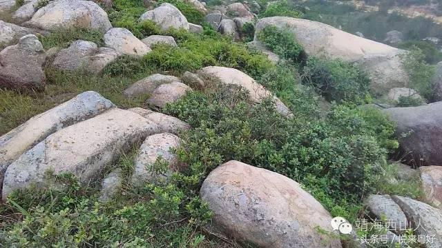 揭阳市惠来县靖海镇西山村大劲山，你还是让我怀念