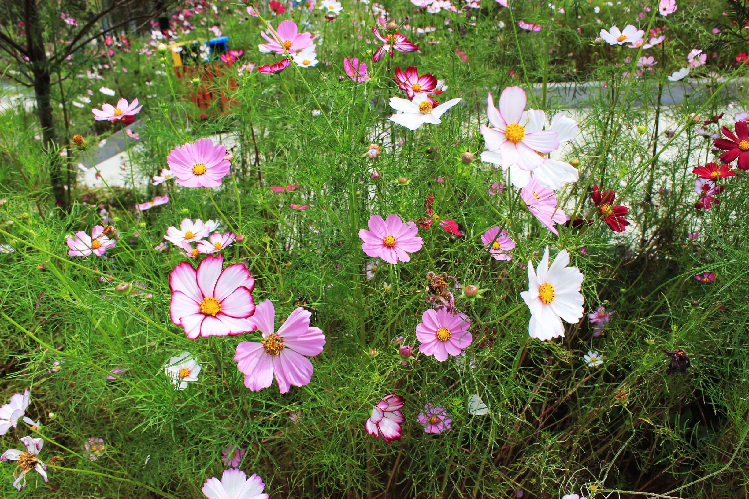 贵州雨后的大山美景,秋天的贵州大山这里仿佛就是仙境