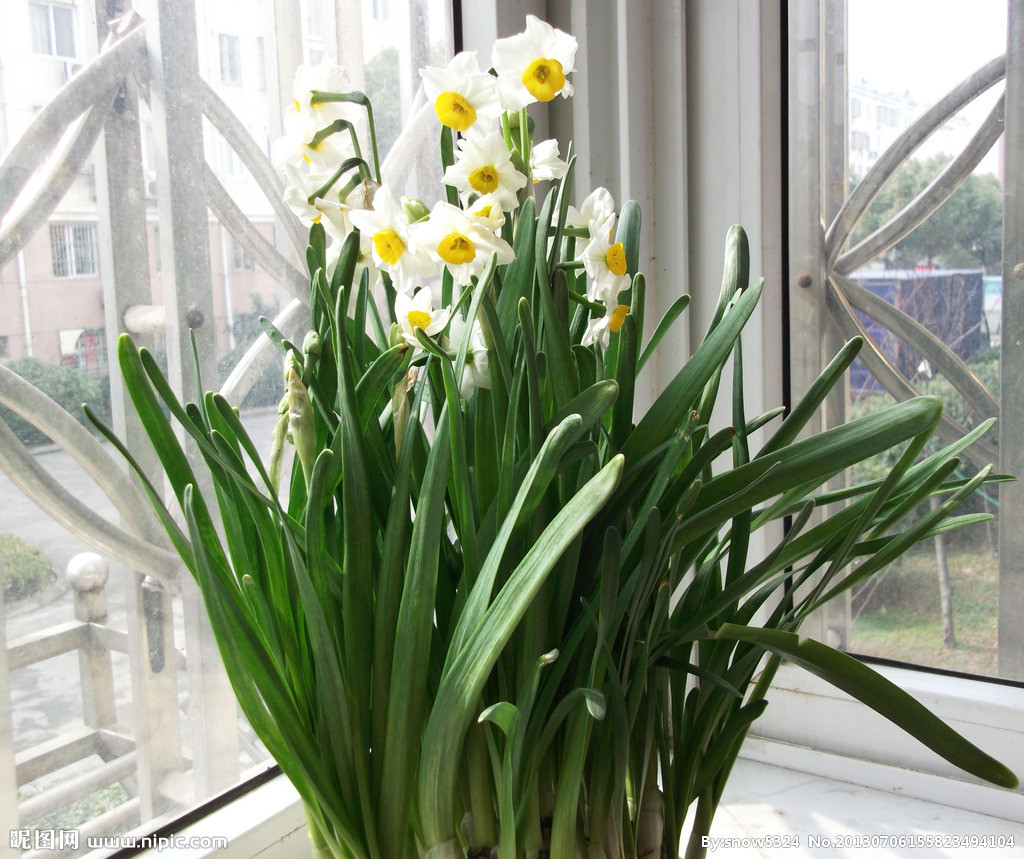 猫咪可以吃的和不可以吃的有什么,猫咪可以吃什么甜的