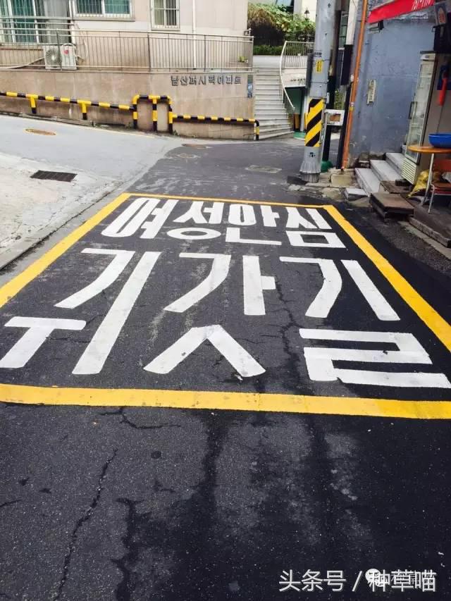 老司机带路买车不迷茫,老司机带路游广州