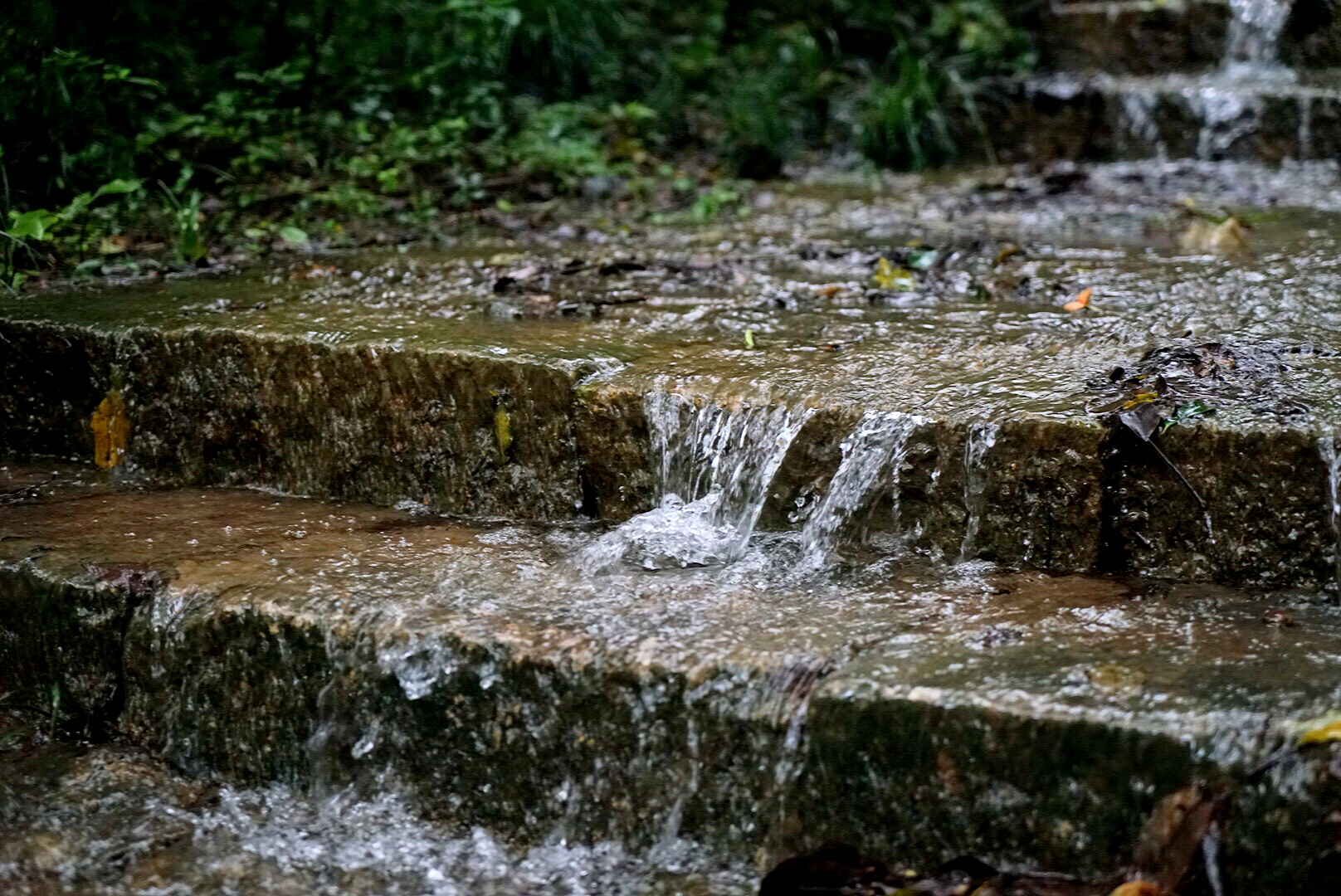 杭州赏桂花,杭州哪里赏桂花最好