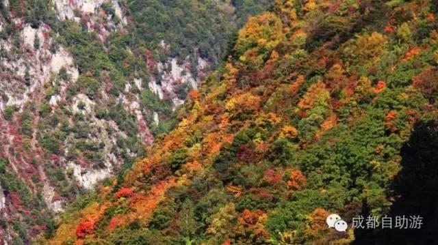 成都周边半小时车程左右看秋景,离成都200公里内景区