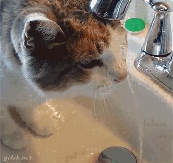 利物浦0:1输水晶宫,利物浦欧冠0:3落后逆转