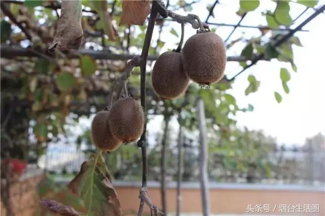 烟台轰趴馆,烟台轰趴团建