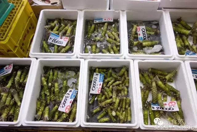 我敢说你在寿司店吃的那缸wasabi是冒牌货