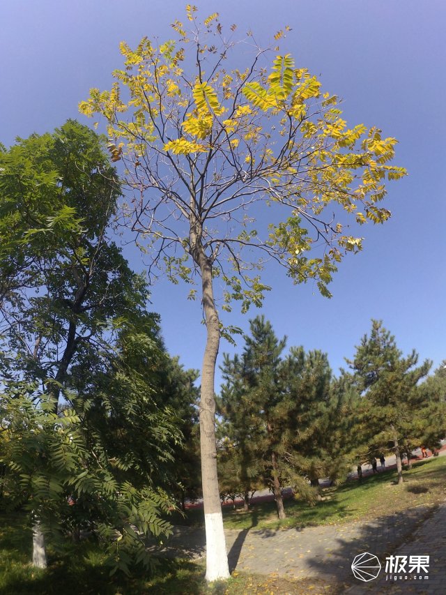 佳明运动相机virbultra30防抖吗,佳明virbultra30运动相机