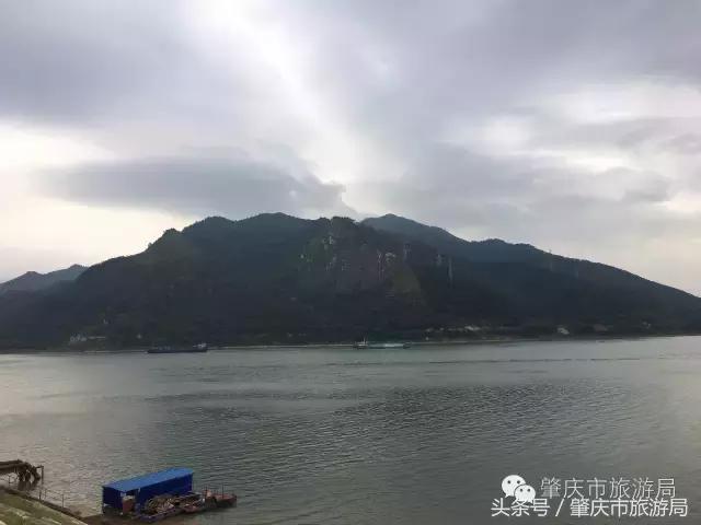 肇庆最新重磅消息,广东肇庆新消息