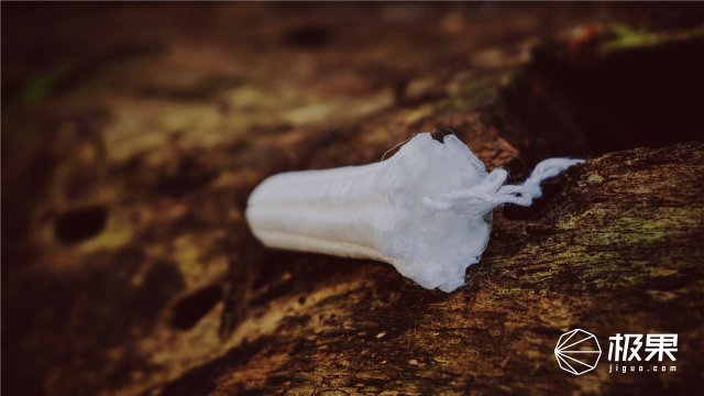 这盒子还没手掌大，里面的工具却比工具箱还全，野外保命全靠它