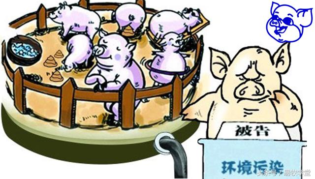 养猪环评手续应怎样办理,养猪环评审批文件