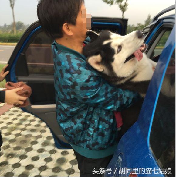 周末带二宝游玩的时光,第一次带二哈出门