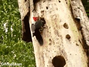 功夫足球可以在真正赛场用吗,功夫足球里各个球员都是什么功夫