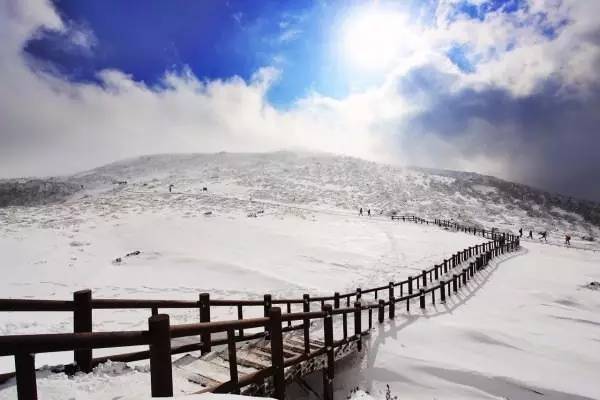 免签证出国需要什么手续,免签和落地签国家旅游推荐