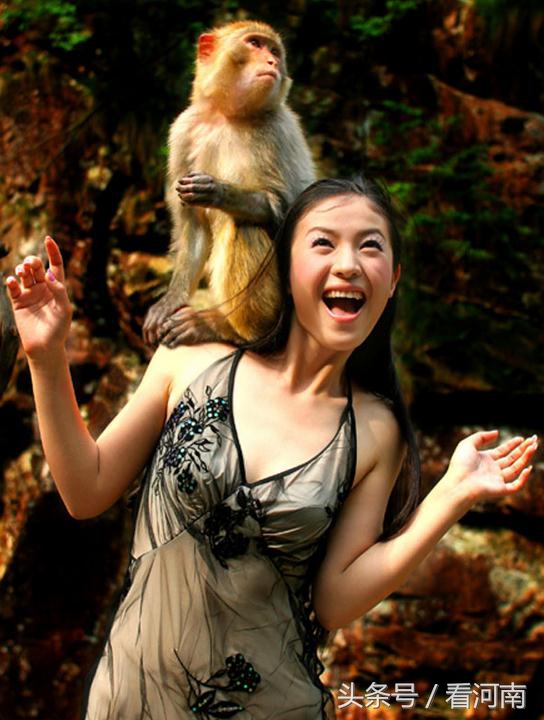 河南1065个村庄要发财啦每村年入100万有恁村没？