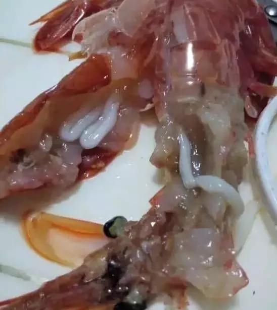 虾红腿病怎么处理,对虾红腿病能吃吗
